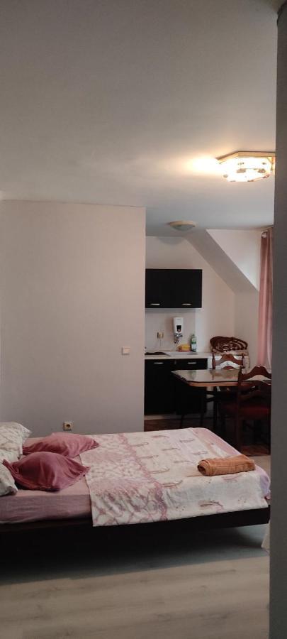 Apartment Ivaylo 瓦爾納 外观 照片